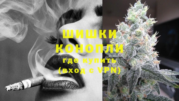 mdpv Бородино
