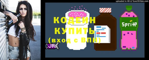 mdpv Бородино