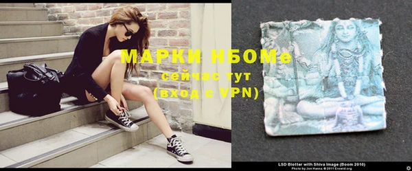 mdpv Бородино