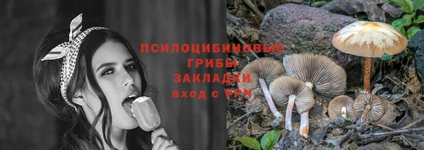 mdpv Бородино