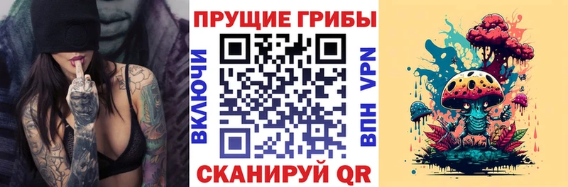 kraken ONION  Мурино  Галлюциногенные грибы прущие грибы  где купить наркотик 